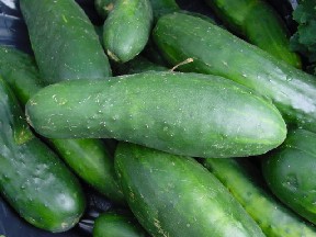 cucumber1.jpg